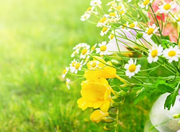 Солнечный пучок с желтыми цветами фризии на траве — стоковое фото