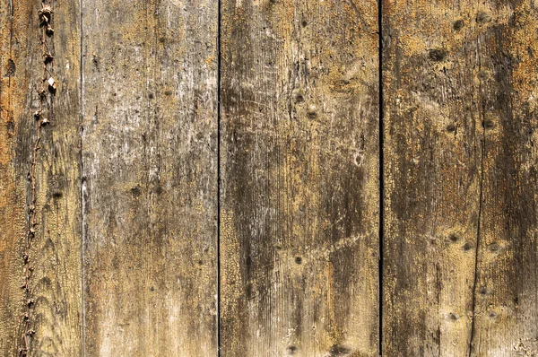 Pared de madera marrón vieja con textura de arañazos —  Fotos de Stock