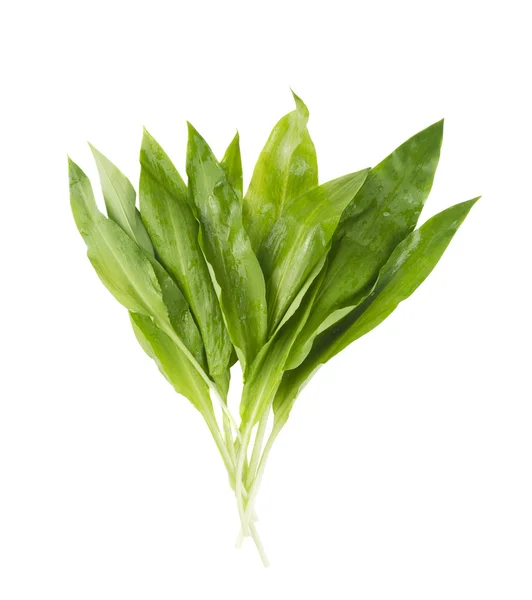 Bunch of wild ramson, isolated — Stock Photo, Image