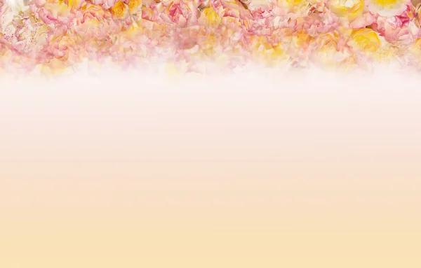 Rózsaszín sárga rosen háttér — Stock Fotó