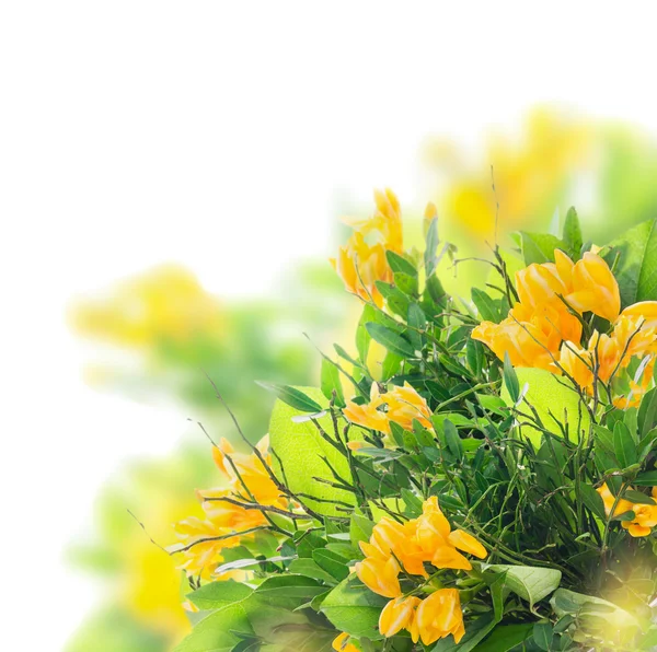 Bright summer bunch with yellow freesias ,floral border, isolated — Stock Photo, Image