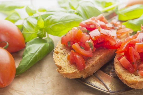 Bruschetta s rajčaty a bazalkou — Stock fotografie