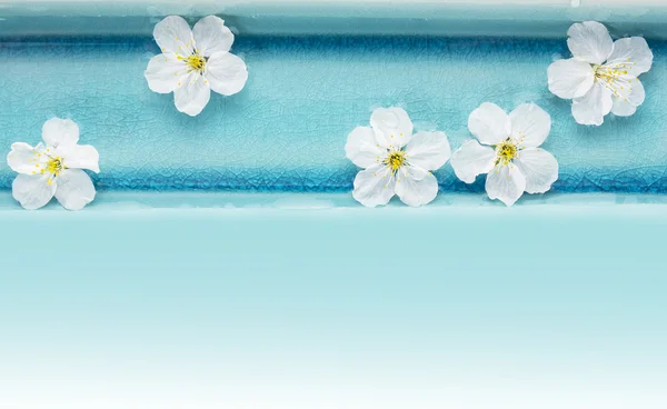 Divoká třešeň květiny v modré misce s vodou, lázeňské pozadí — Stock fotografie