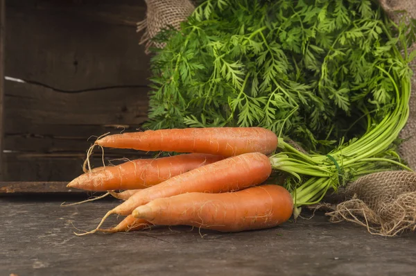 Wis van verse wortelen, Tuin oogst — Stockfoto