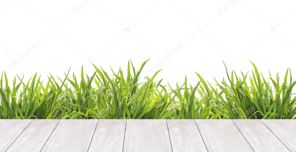 Terrace of white boards and fresh green grass ,border,  isolated