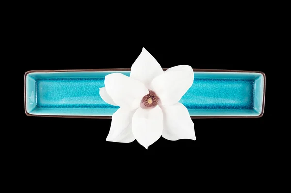 Flor de magnólia branca em tigela retangular azul — Fotografia de Stock