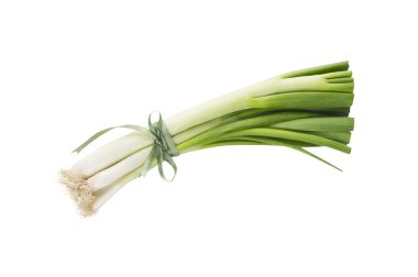Green Spring onion tied with green ribbon, isolated clipart