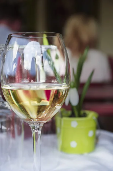 Glas vitt vin på bord i restaurangen på bakgrund av våren landskap — Stockfoto