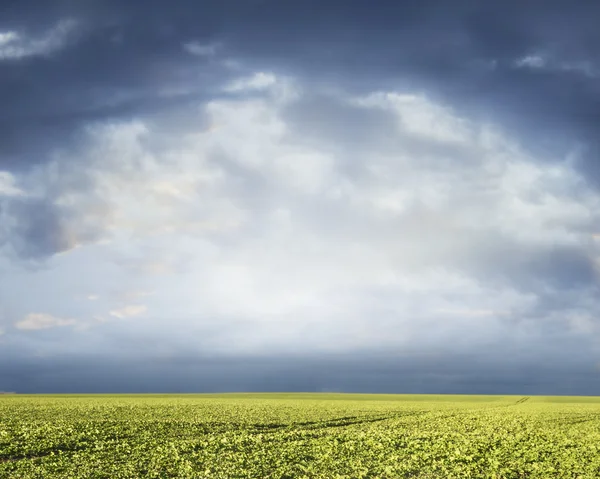 Zielone pola i pochmurnego nieba, krajobraz tło — Zdjęcie stockowe