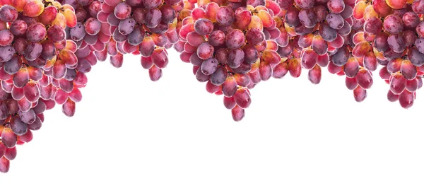 Hanging bunch of red yellow grapes with water drops, isolated, — Stock Photo, Image