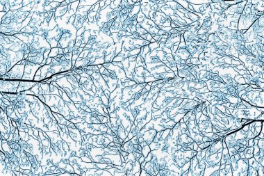 Kış arkaplanı, ağaç dalları, taçlar, karlar altında donma, alt manzara.