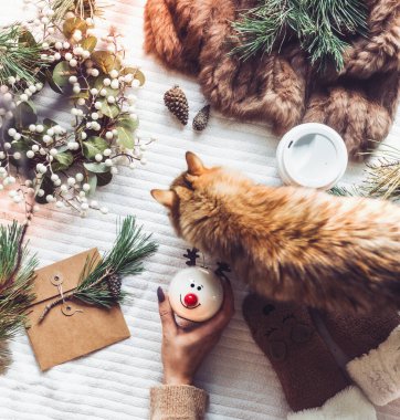 Zencefilli kedi ve kardan adam oyuncağı tutan kadın eli ile sıcak bir kış evi konsepti. Noel tatili hazırlığı. Dallar, kürk battaniyesi, bokeh, külahlar. Üst Manzara. Düz yatıyordu. Şenlik düzeni. Noel neşesi