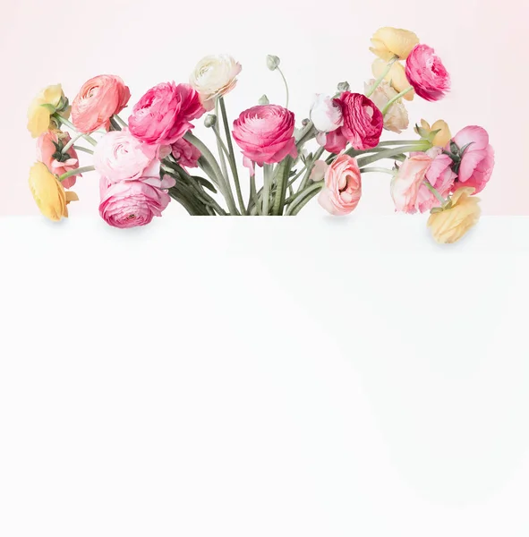 Conceito Flores Criativas Lovely Colorido Buttercups Layout Grupo Com Fundo — Fotografia de Stock