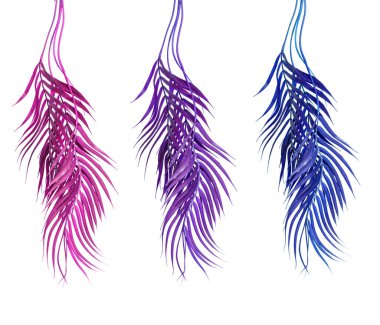 Kavisli tropikal palmiye yaprakları: pembe, mor ve mavi, beyaz arka planda izole. Asılı palmiye yaprakları