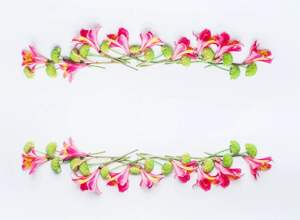 Layout Flores Exóticas Tropicais Fundo Branco Vista Superior Moldura Deitado — Fotografia de Stock