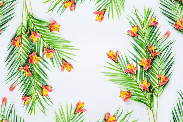 Green Tropical Palm Leaves Exotic Flowers White Background Top View — Stock Photo, Image
