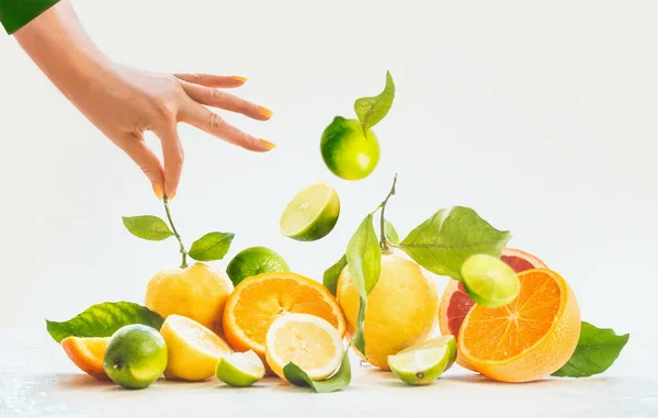 Frauenhände Halten Zitronenstiel Auf Einem Bund Zitrusfrüchte Zitrone Limette Orange — Stockfoto