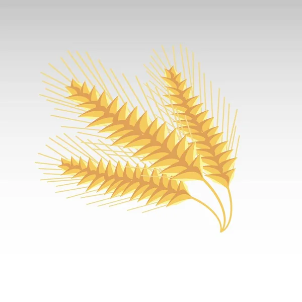 Желтый Пшеничный Хлеб Хлопьев Уши Белом Фоне Векторная Иллюстрация Плоского — стоковое фото
