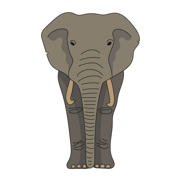 Realistic Vector Drawing Elephant Full Face Isolated White Background Colorful — Stock vektor