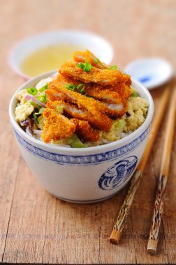 Fusion Katsu Don