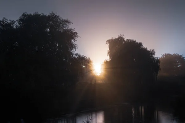 Bäume Gegenlicht Eines Glimmenden Lichts Neben Einem Fluss Einer Nebligen — Stockfoto