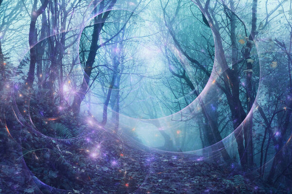 A fantasy edit of mysterious glowing lights in a spooky forest on a foggy winters day.
