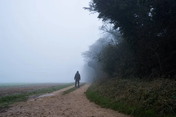 Een Mysterieuze Figuur Met Een Kap Terug Naar Camera Staande — Stockfoto