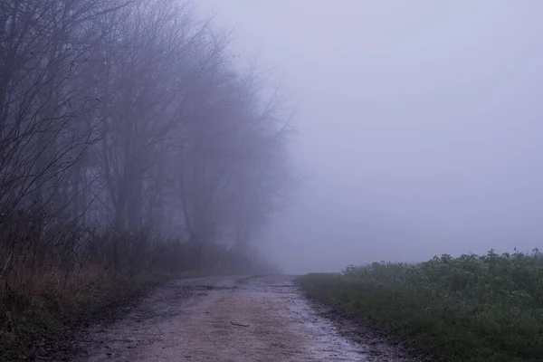 Camino Campiña Inglesa Día Inviernos Atmosféricos Neblinosos Cotswolds Reino Unido —  Fotos de Stock