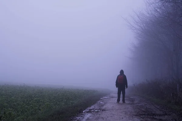 Ürkütücü Sisli Bir Kırsal Kesimde Kış Günü Bir Pistte Duran — Stok fotoğraf