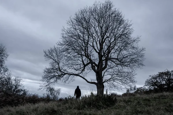 Gökyüzüne karşı duran ürkütücü bir siluet. Ağacın altında. Dengesiz bir kış gününde