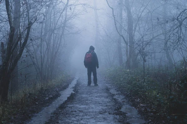 Hiker Standing Spooky Forest Eerie Foggy Winters Day — Fotografia de Stock