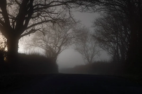 Ένας Τρομακτικός Δρόμος Στην Εξοχή Μια Σκοτεινή Ομιχλώδη Νύχτα Χειμώνων — Φωτογραφία Αρχείου