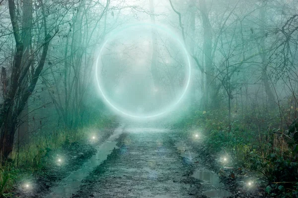 Светящийся Волшебный Портал Пути Проходящем Через Таинственный Лес Жуткий Туманный — стоковое фото
