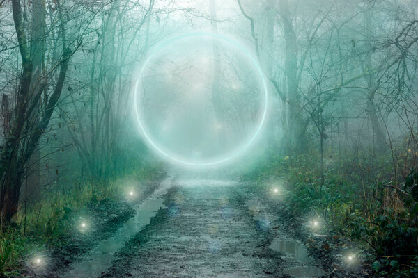 A glowing magical portal on a track going through a mysterious forest. On a spooky, foggy winters day in the countryside.