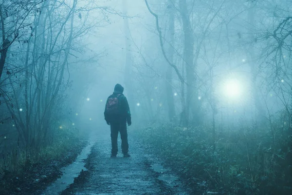 Hiker Standing Spooky Forest Looking Glowing Supernatural Orbs Light Eerie — Stock Photo, Image
