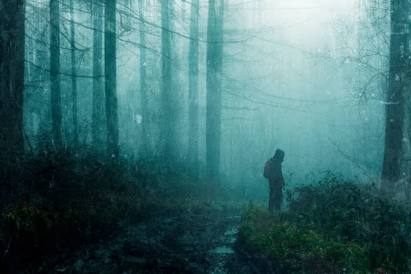 Mysterious Hiker Silhouetted Gloomy Path Spooky Foggy Winters Forest Grunge — Fotografia de Stock