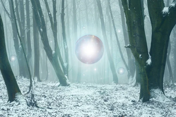 Magical Glowing Orbs Light Floating Forest Mysterious Foggy Winter Forest — Stok fotoğraf