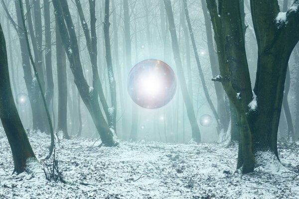 Magical glowing orbs of light floating in a forest. In a mysterious, foggy, winter forest.