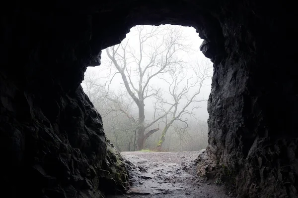 Vue Une Entrée Grotte Sur Une Journée Hivers Brumeux Malvern — Photo