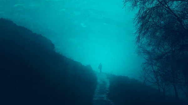 Kışın Karanlık Kasvetli Bir Ormanda Yol Boyunca Yürüyen Bir Adamın — Stok fotoğraf