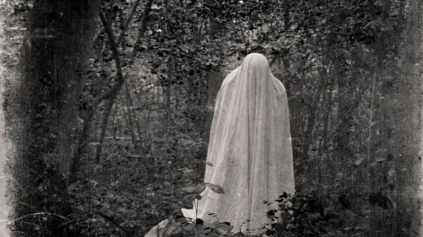 Conceito Sobrenatural Fantasma Assustador Com Uma Folha Numa Floresta Com — Fotografia de Stock