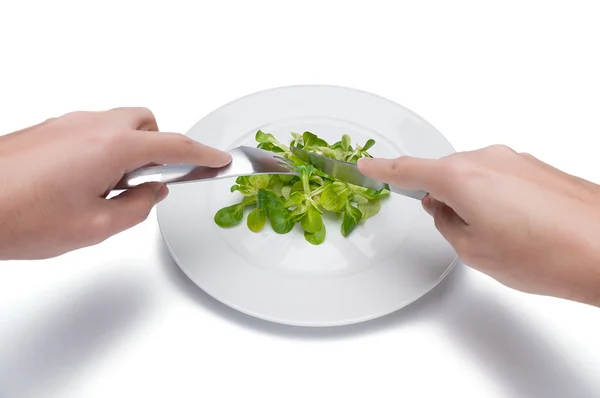 Bird salad on a plate, extreme dieting, isolated — Stock Photo, Image