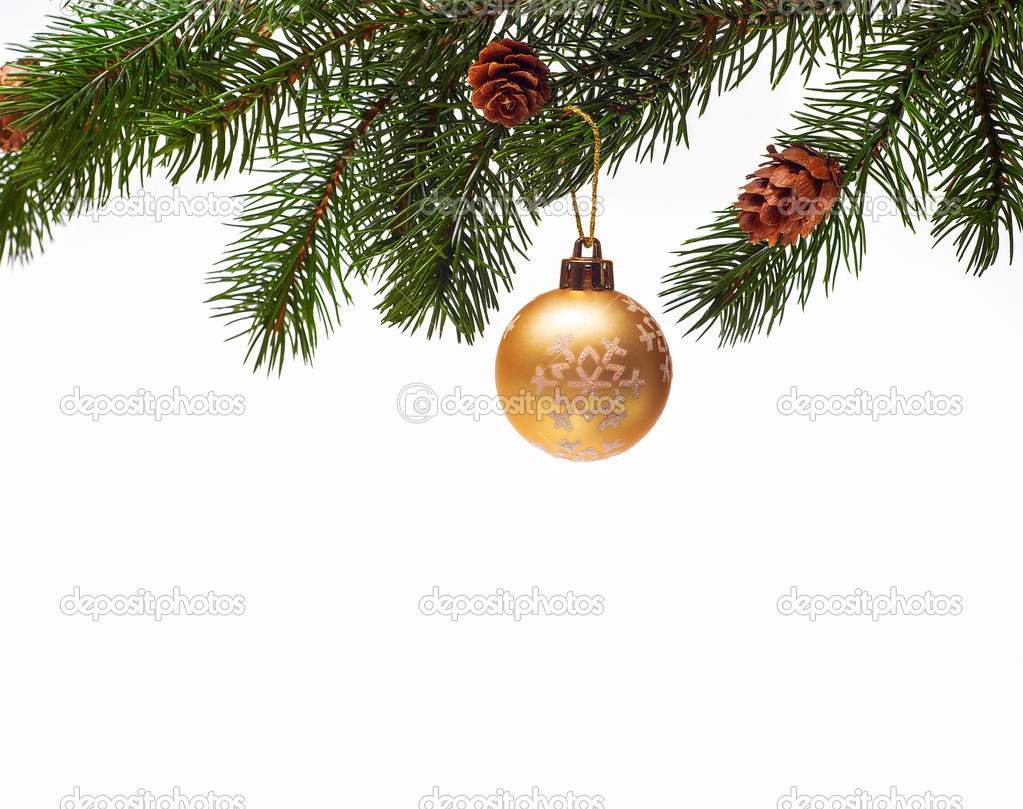 Christmas ball on green spruce branc