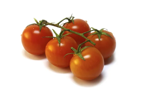 Rode tomaten — Stockfoto