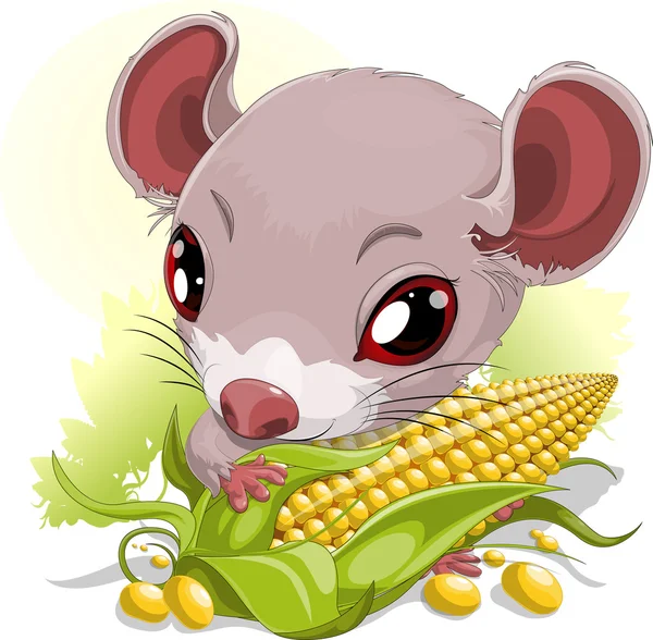 Mouse with corn — Stock Vector