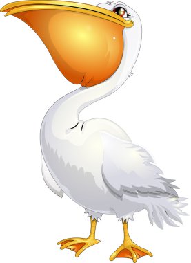 pelikan