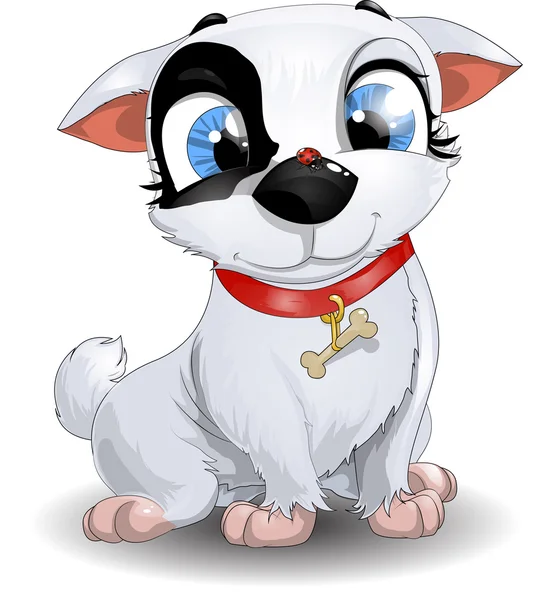 köpek ve uğur böceği