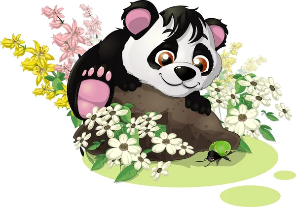 Panda und Käfer — Stockvektor