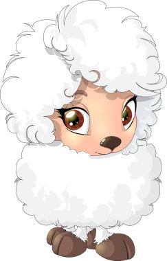 koyun