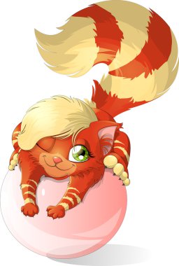 Yavru kedi